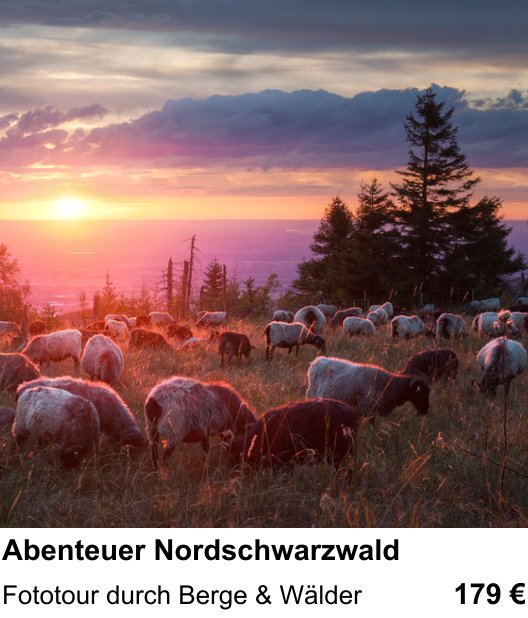 Experimenteller Fotoworkshop – Abenteuer Nordschwarzwald und Fototour durch Berge & Wälder