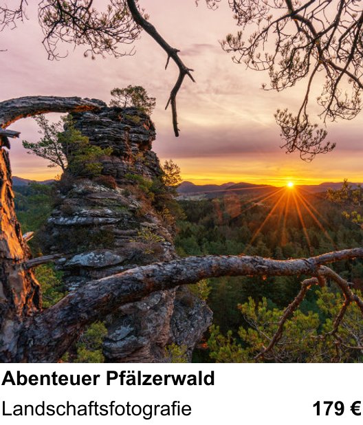 Experimenteller Fotoworkshop – Abenteuer Pfälzerwald und Landschaftsfotografie