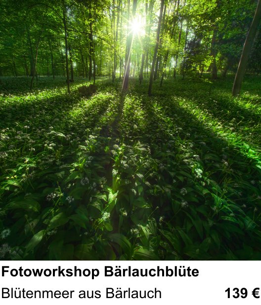 Experimenteller Fotoworkshop – Fotoworkshop Bärlauchblüte und Blütenmeer aus Bärlauch