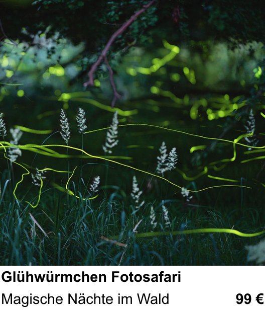 Experimenteller Fotoworkshop – Glühwürmchen Fotosafari und Magische Nächte im Wald