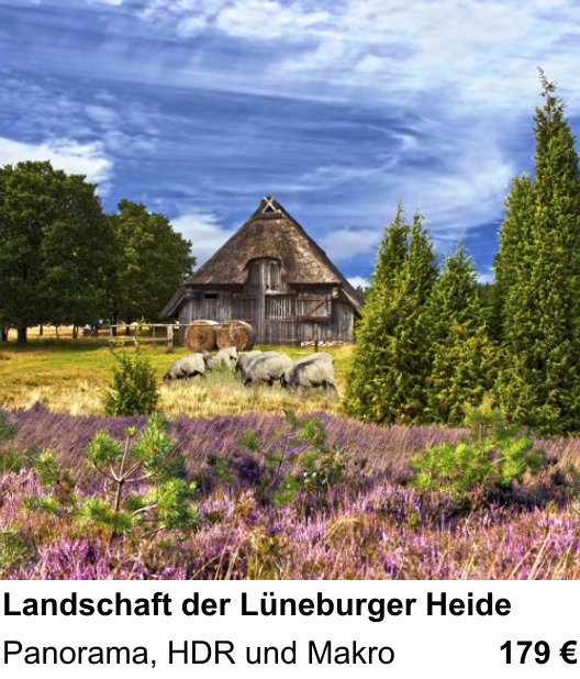Experimenteller Fotoworkshop – Landschaft der Lüneburger Heide und Panorama, HDR und Makro