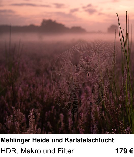 Experimenteller Fotoworkshop – Mehlinger Heide und Karlstalschlucht und HDR, Makro und Filter