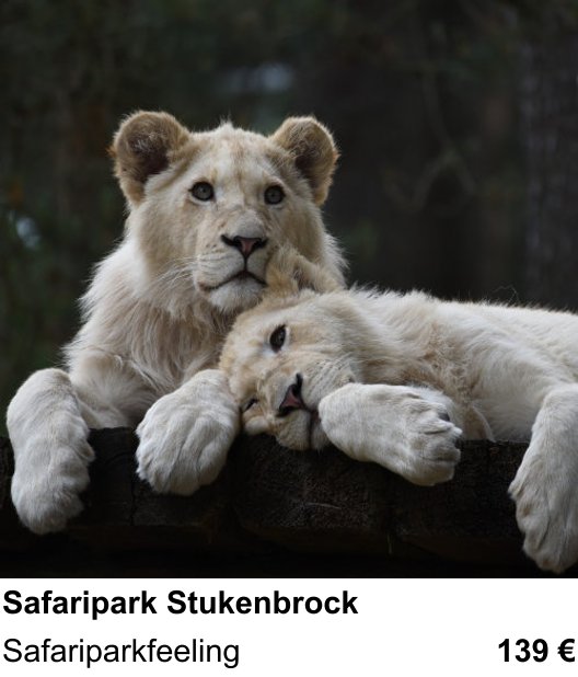 Experimenteller Fotoworkshop – Safaripark Stukenbrock und Safariparkfeeling