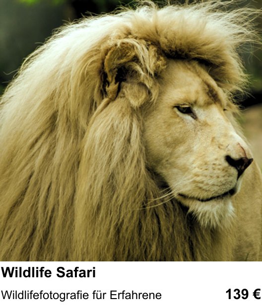 Intensiver Fotokurs zu Wildlife Safari in Heidelberg