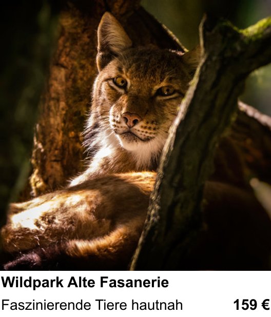 Experimenteller Fotoworkshop – Wildpark Alte Fasanerie und Faszinierende Tiere hautnah