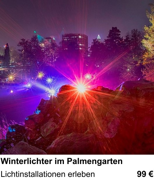 Experimenteller Fotoworkshop – Winterlichter im Palmengarten und Lichtinstallationen erleben